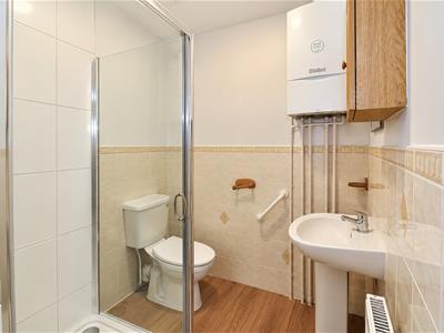 Picture 8